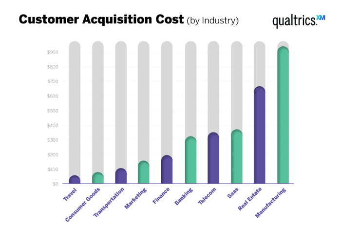 Customer Acquisition Cost