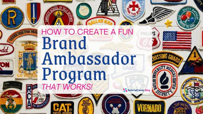 Brand Ambassador Program Ideas