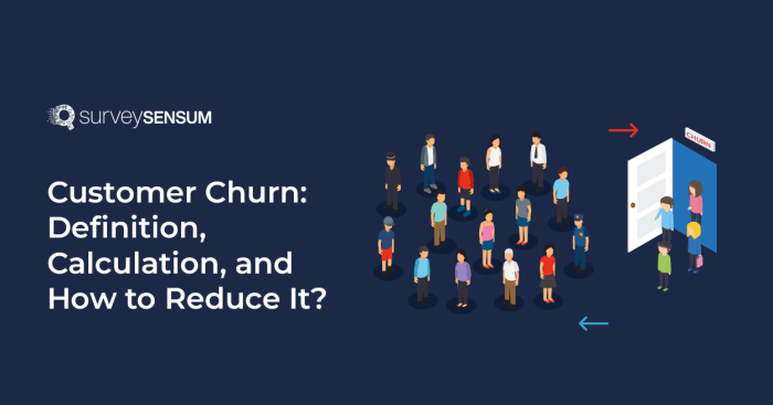 Understanding Customer Churn