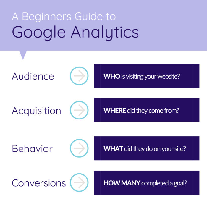 Google Analytics Guide