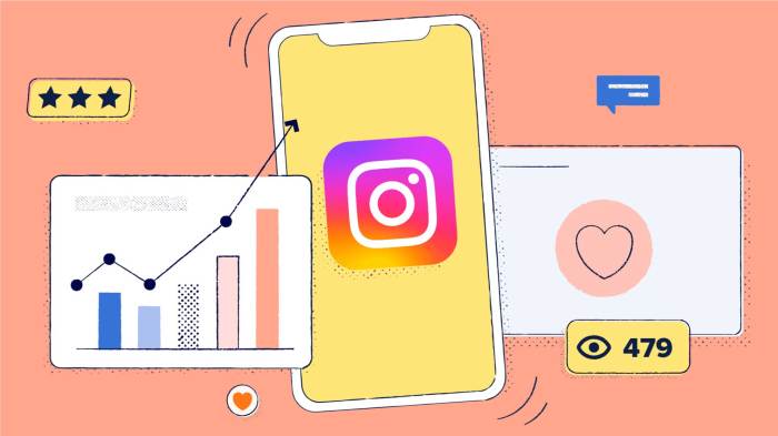 Using Instagram Analytics