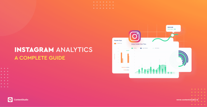 Using Instagram Analytics