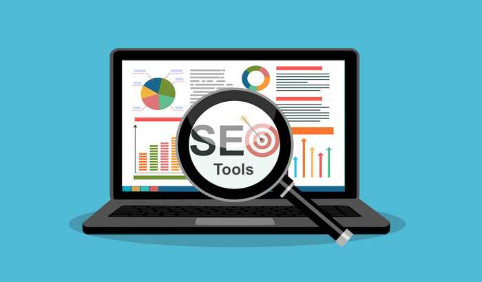 Using SEO Analytics Tools