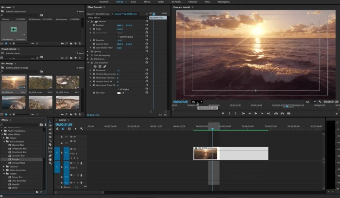 Video Editing Basics