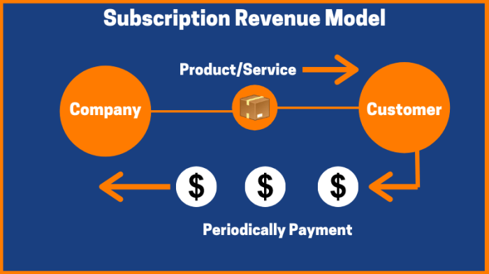 Building a Subscription-Based Model