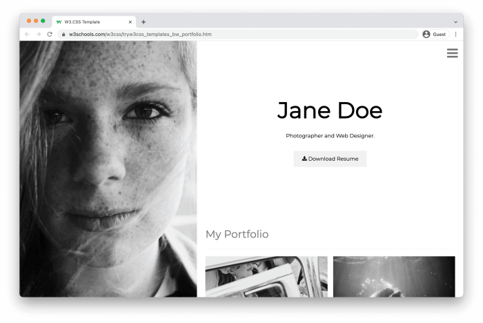 Building an Online Portfolio