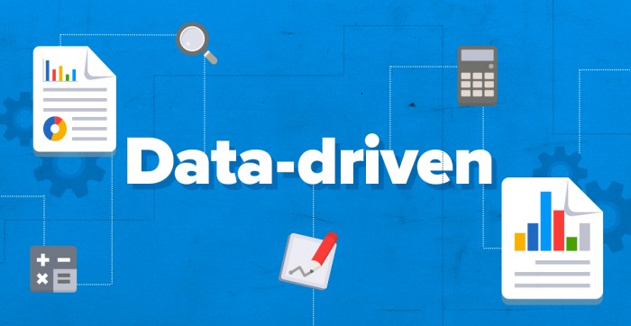 Using Customer Data to Drive Decisions