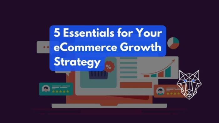 E-commerce Growth Tips