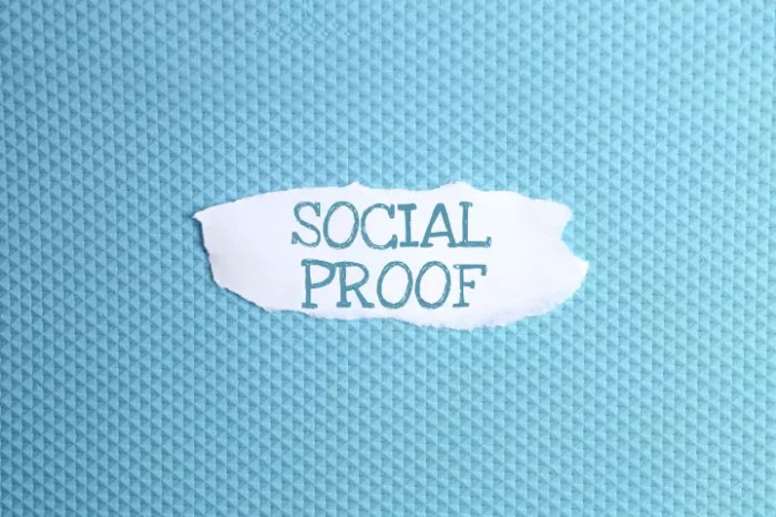 Building Social Proof