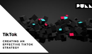 Building a Strategy for TikTok