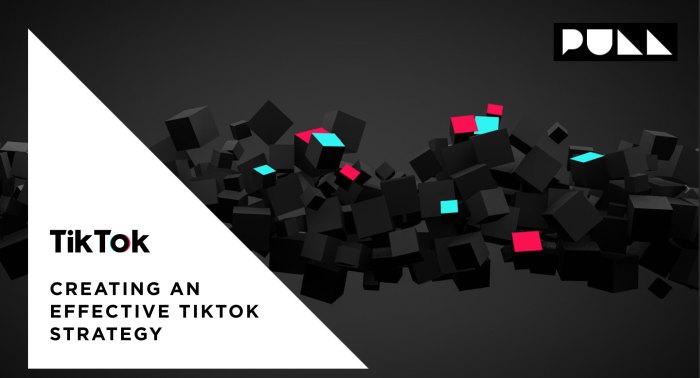 Building a Strategy for TikTok