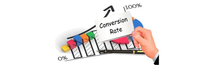 Website Conversion Rates