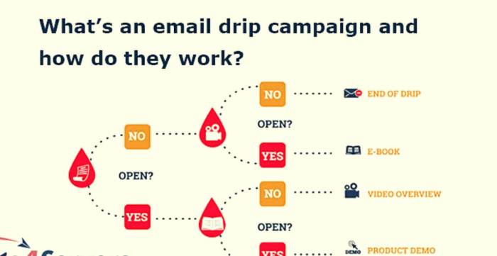 Creating Email Drip Campaigns